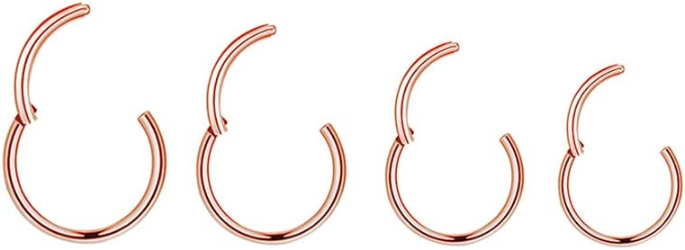 HQLA 4Pairs/Pcs 18G Surgical Steel Hinged Clicker Segment Nose Rings Hoop Helix Cartilage Daith Tragus Sleeper Earrings Body Piercing for Women Men 6mm 8mm 10mm 12mm - Image 1